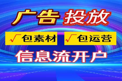 成功运用SEM技术提升网站流量的案例研究